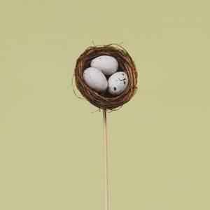 3" Bird Nest w/ Eggs Arrangement Picks - 18" tall #00425 (NWT) #2